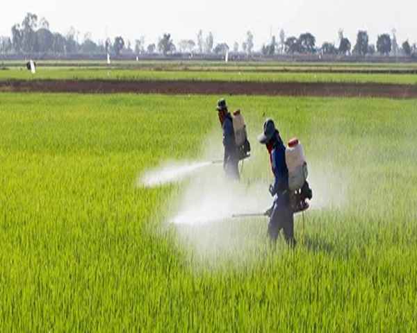 قیمت سولفونیک اسید